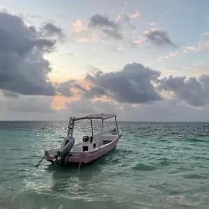 Home's Jungle Puerto Morelos 20 Minutes From The Airport Guest house